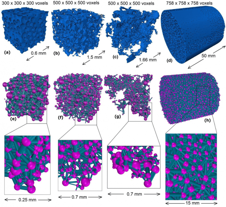 Transport Phenomena In Porous Media PMPM